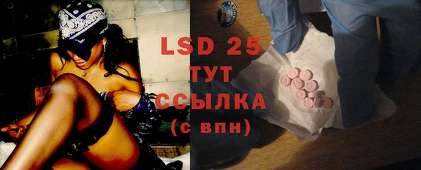прущие грибы Балахна