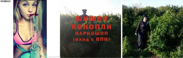 индика Балабаново