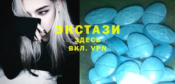 индика Балабаново