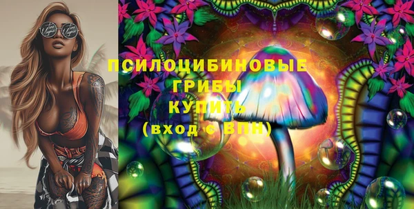 индика Балабаново