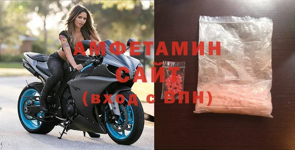 прущие грибы Балахна
