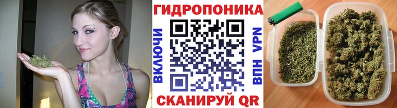 Бошки марихуана THC 21%  Купить закладки  Болхов 